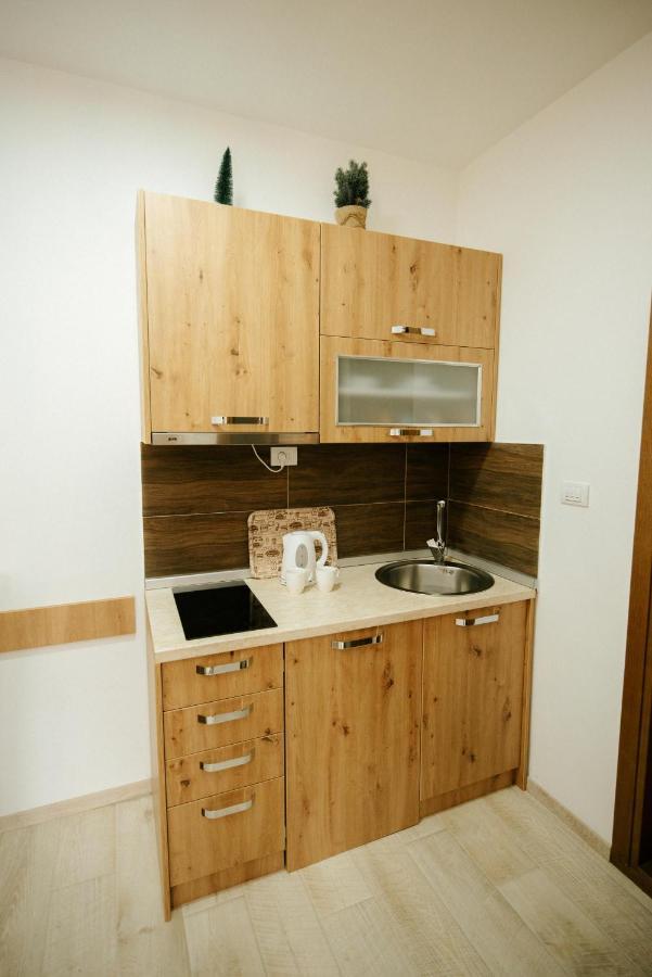Apartman Kostic Kraljev Konak Копаоник Экстерьер фото